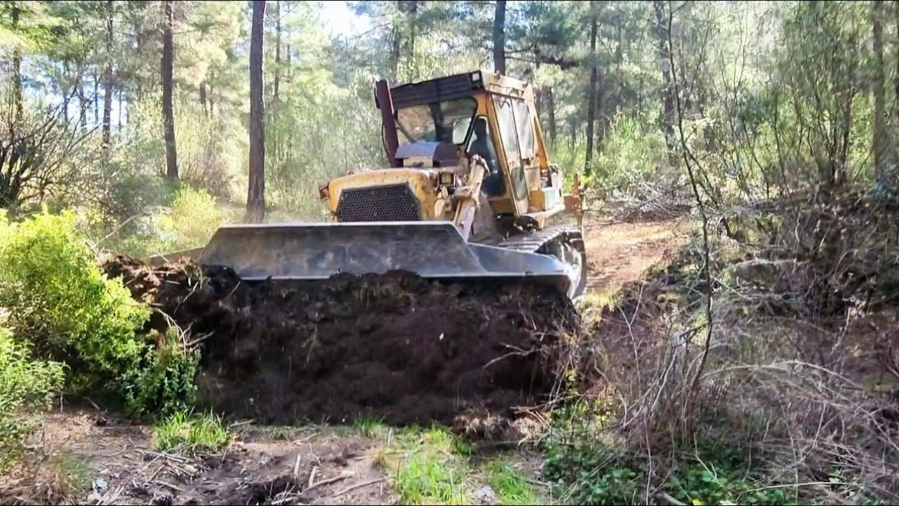 БУЛЬДОЗЕР НОВЫЙ ПУТЬ РОЖДАЕТСЯ СРЕДИ ДЕРЕВЬЕВ НА ЛЕСНОЙ ДОРОГЕ #caterpillar #bulldozer #dozer #liebh