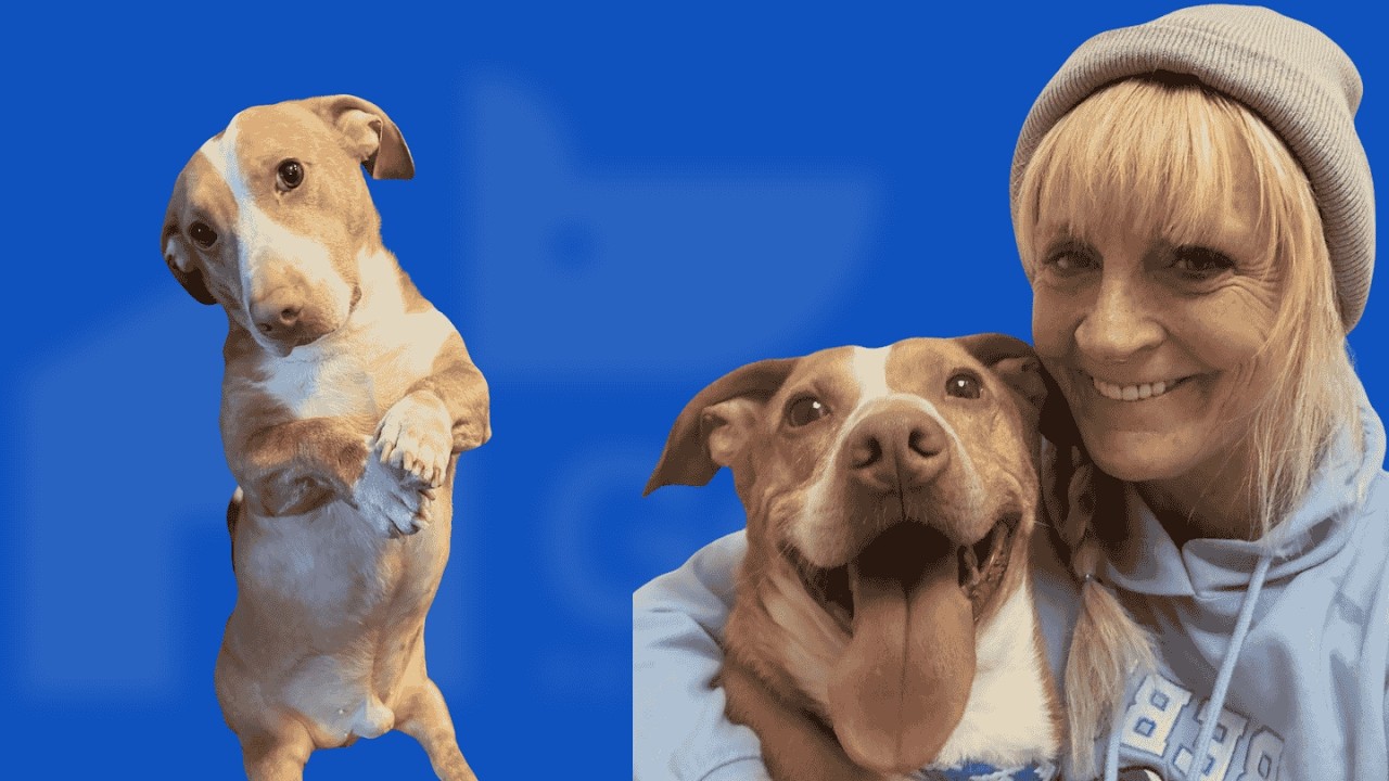 Romeo was abandoned in a motel room