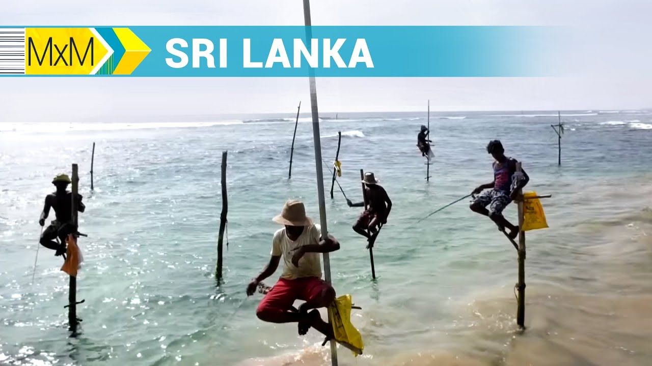 Madrileños por el mundo: Sri Lanka