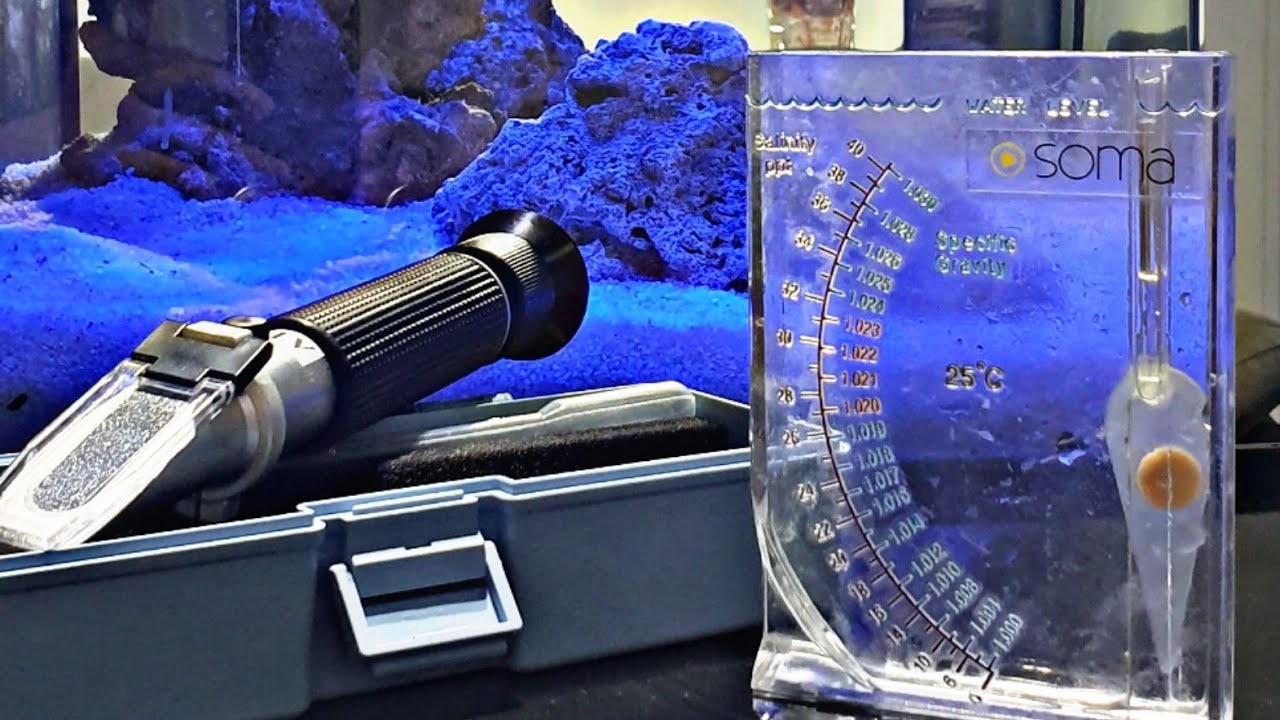 DENSIMETRO OU REFRATOMETRO? - AQUARISTA MARINHO INICIANTE #004