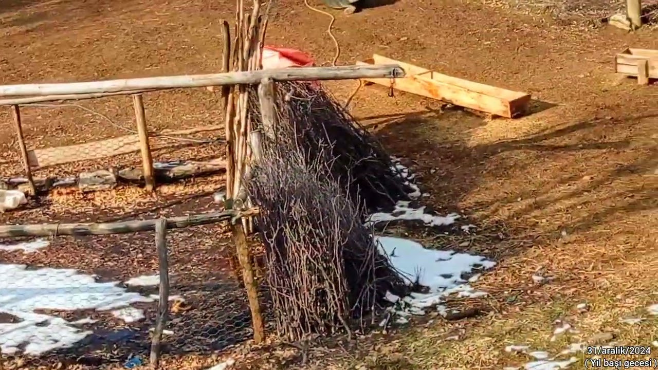 Bitlis Mutki sarıçiçek köyü tanıtım video
