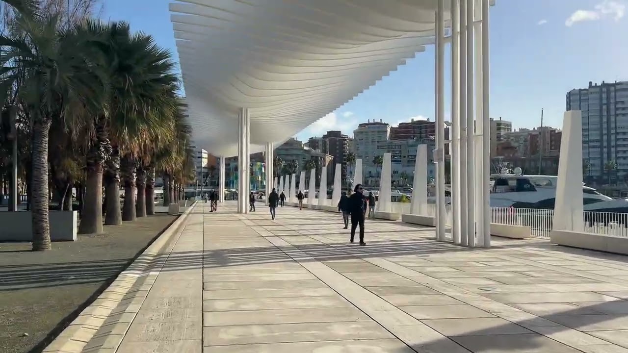 MALAGA LIVE ( January 22, 2026)