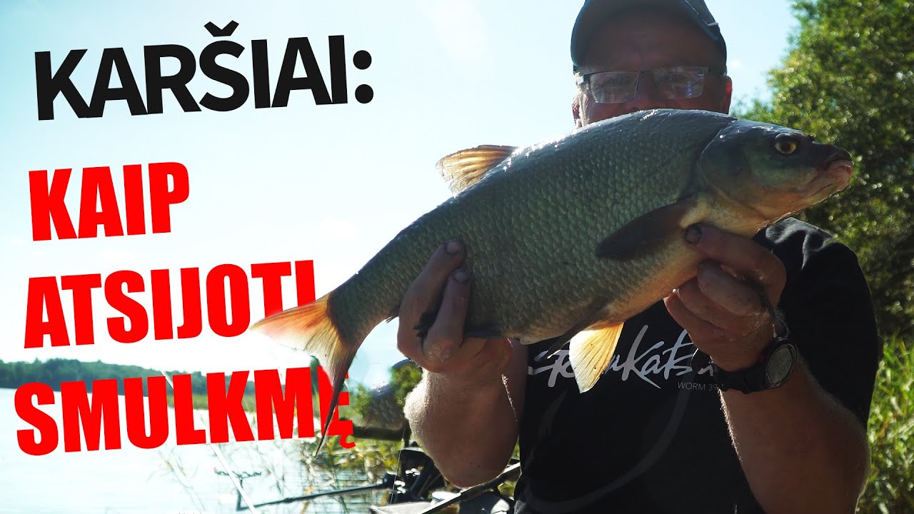 Kaip pagauti karšį ežere ten, kur daug smulkmės