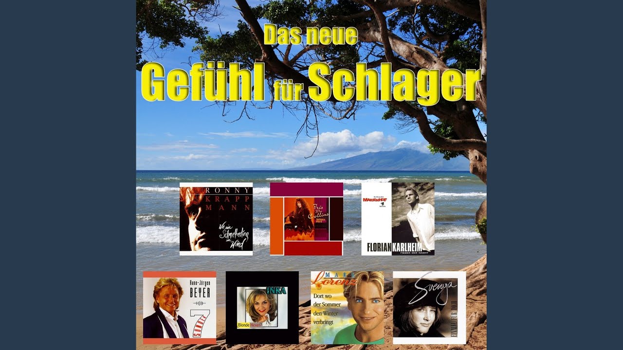 Fieber der Nacht (Radio Mix)