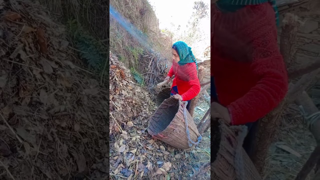 मेरा यूट्यूब चैनल रामेश्वरी पहाड़ी 🏞️🌳 गढ़वाली ♥️