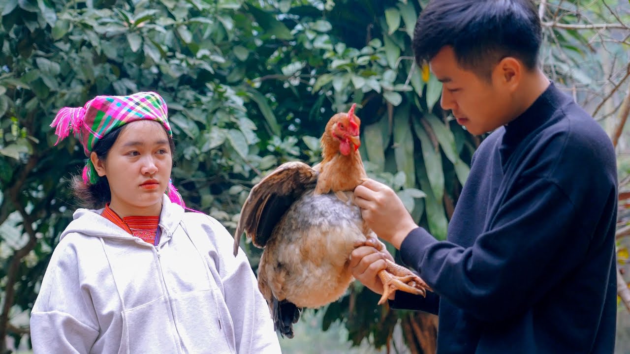 Full Video: Escaping Vàng A Sung: The Peaceful Life of Ái Mí and Yến on Their New Farm