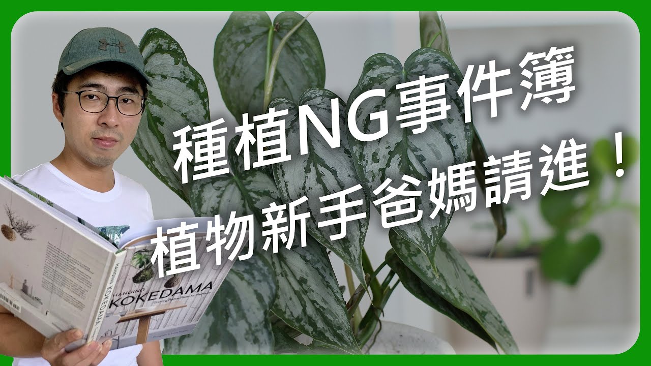 #植物新手必看