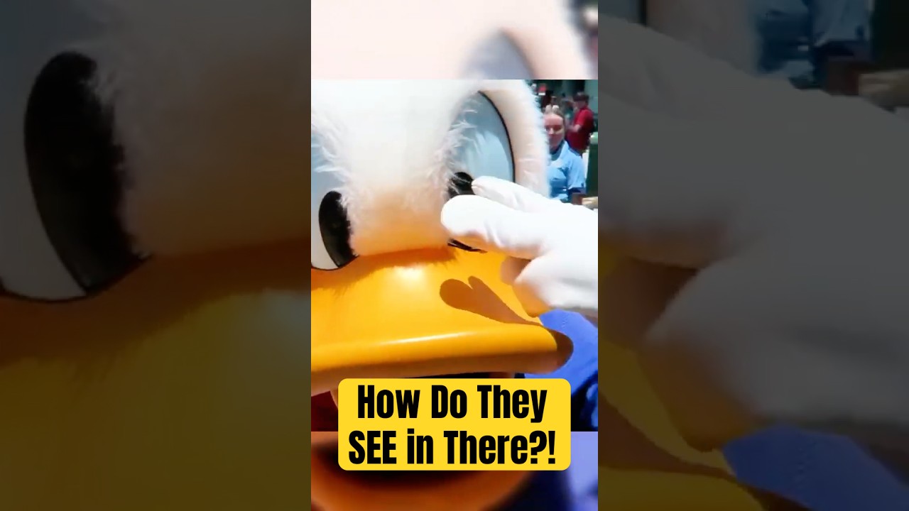 How Disney Characters See and Stay Cool in Those Giant Suits! #nickaferd