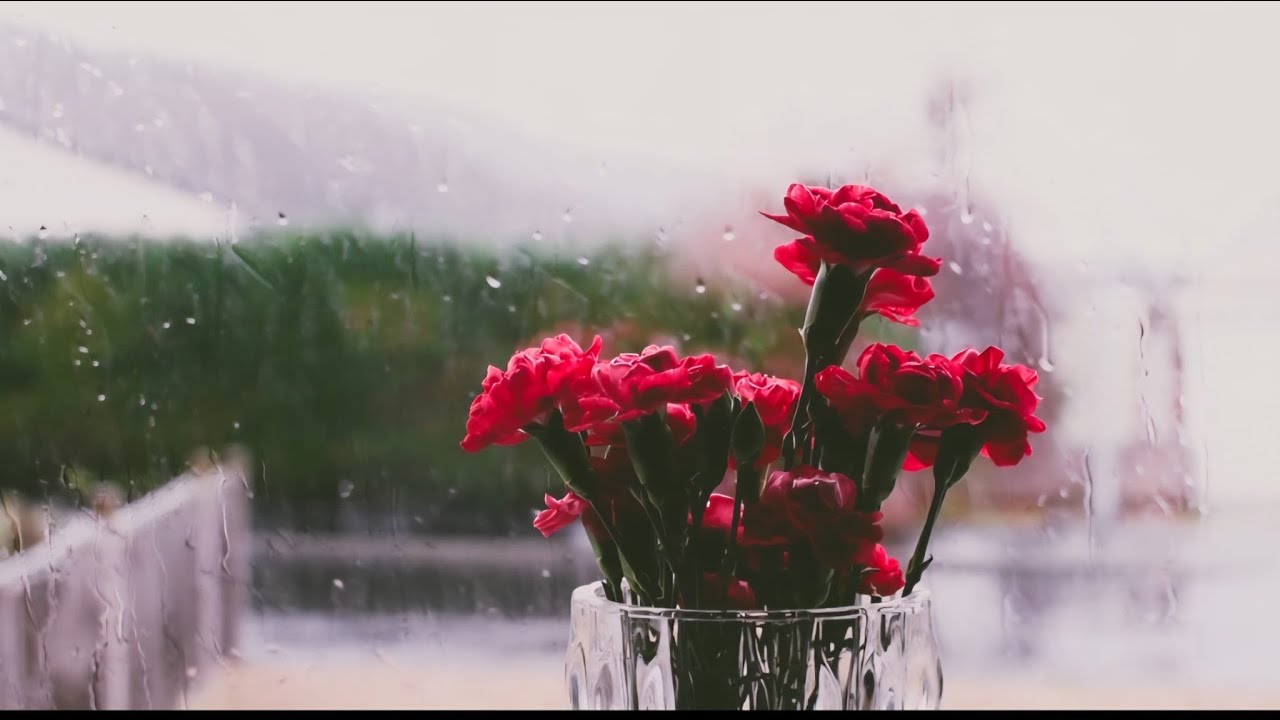 Ambiance Méditation – Pluie Douce 45 Min (Anti-Stress)