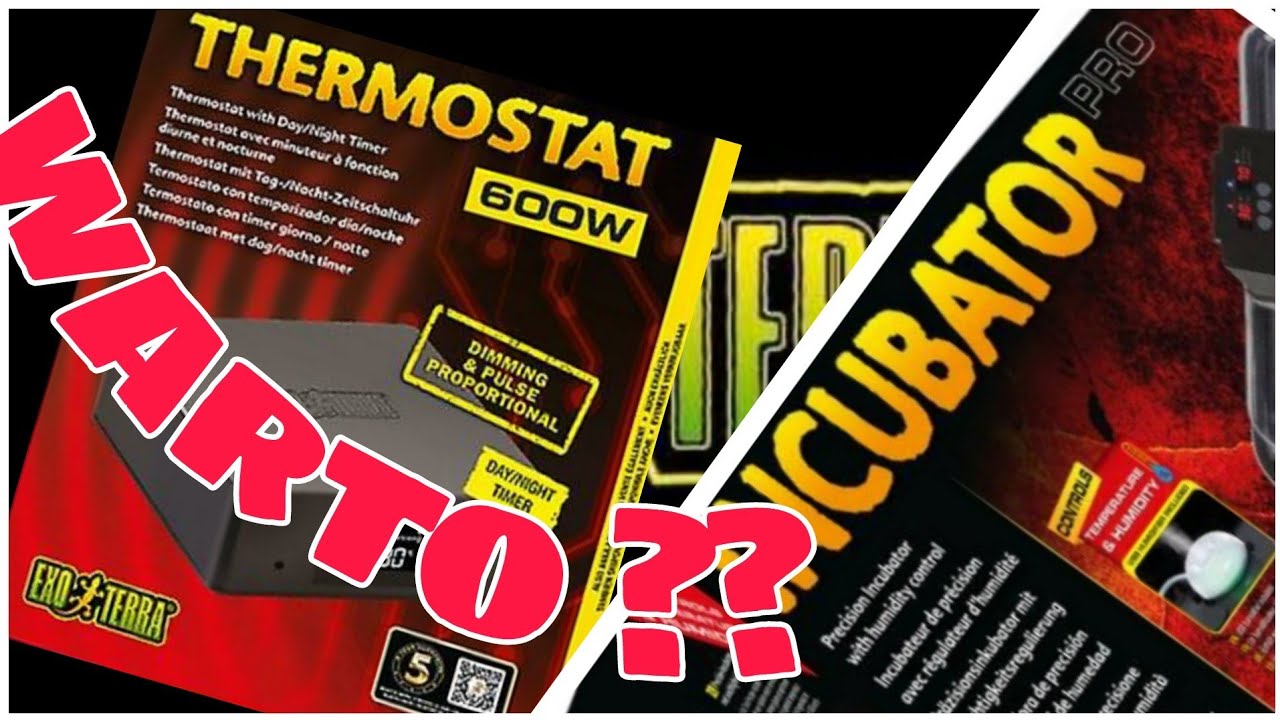 Termostat & inkubator ➡️ recenzja produktów ExoTerra 🤔 warto❓
