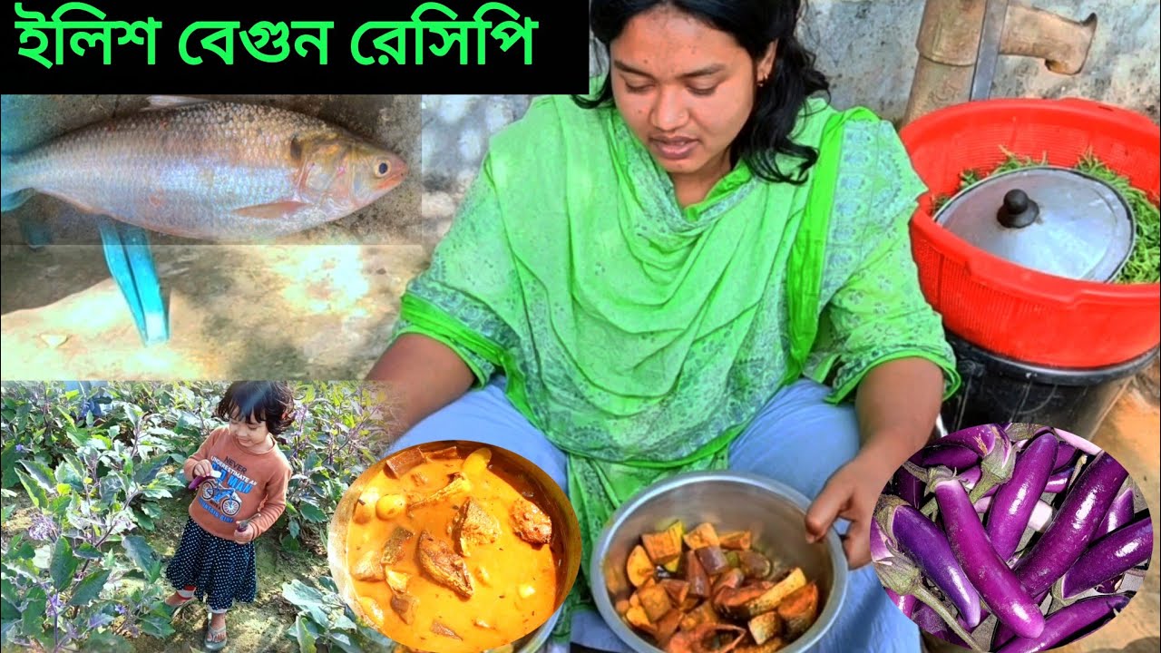 ইলিশ মাছের রেসিপি | বেগুন দিয়ে ইলিশ মাছ রান্নার ভিডিও | ইলিশ বেগুন রেসিপি | Ilish recipe 
