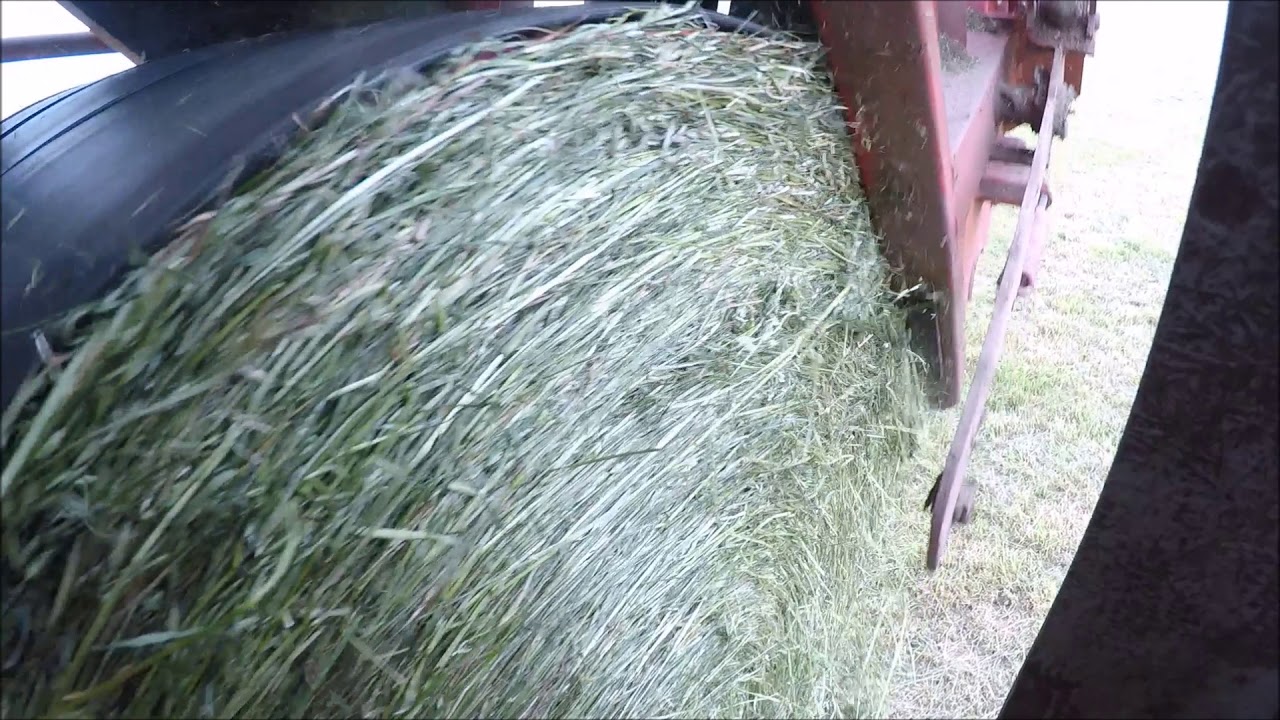 BALING FIRST CUT WITH LELY WELGER BALER