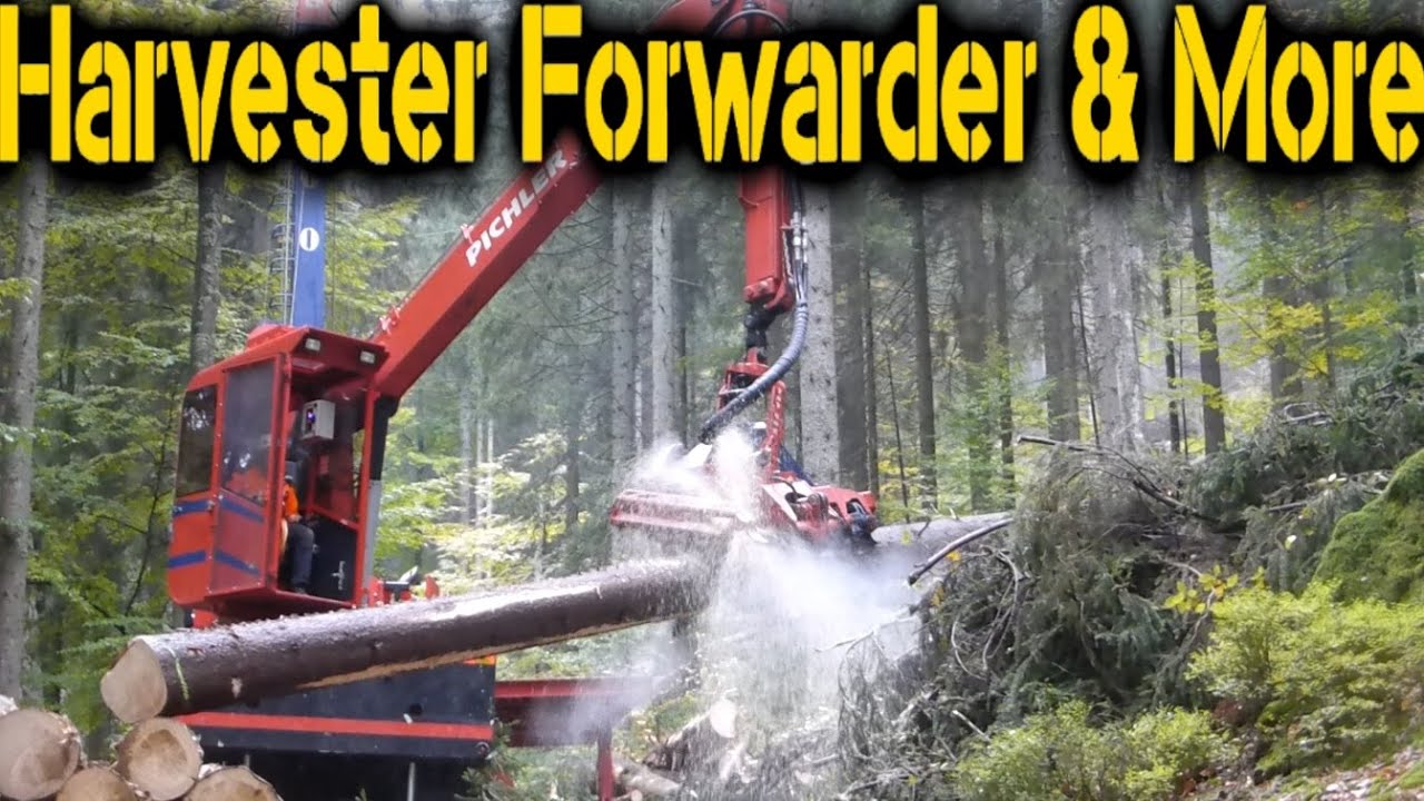 TST 600 & TST Timbernator 60H - Austrofoma 2015