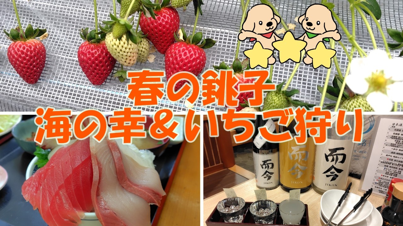 【春休みに最高】海鮮グルメ天国🐟銚子で海の幸＆いちご狩り🍓