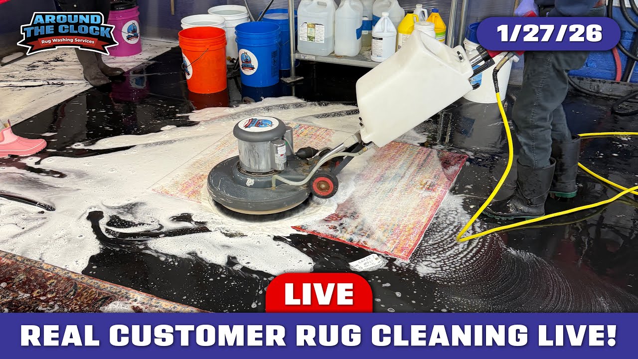 LIVE Rug Washing! #rugwashing