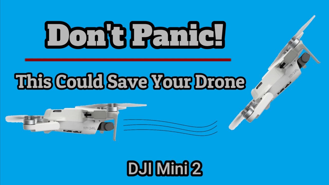 This Not So Secret Mini 2 Feature Can Save Your Drone / DJI Mini 2