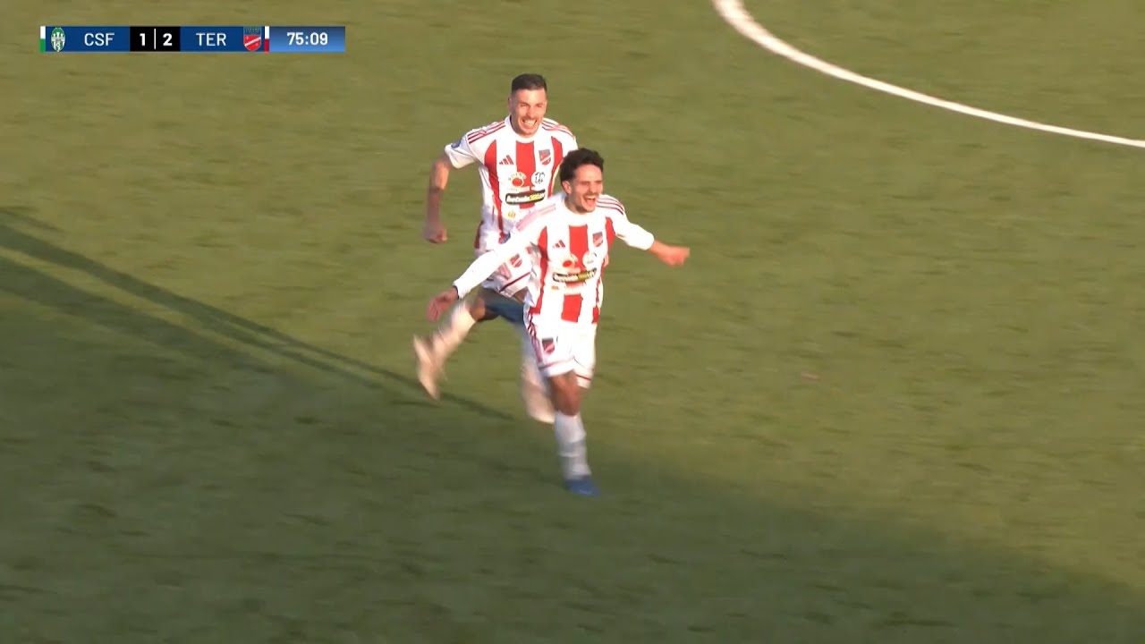 Serie D | 19° giornata: Castelfidardo - Teramo Calcio 1913 (1-2)