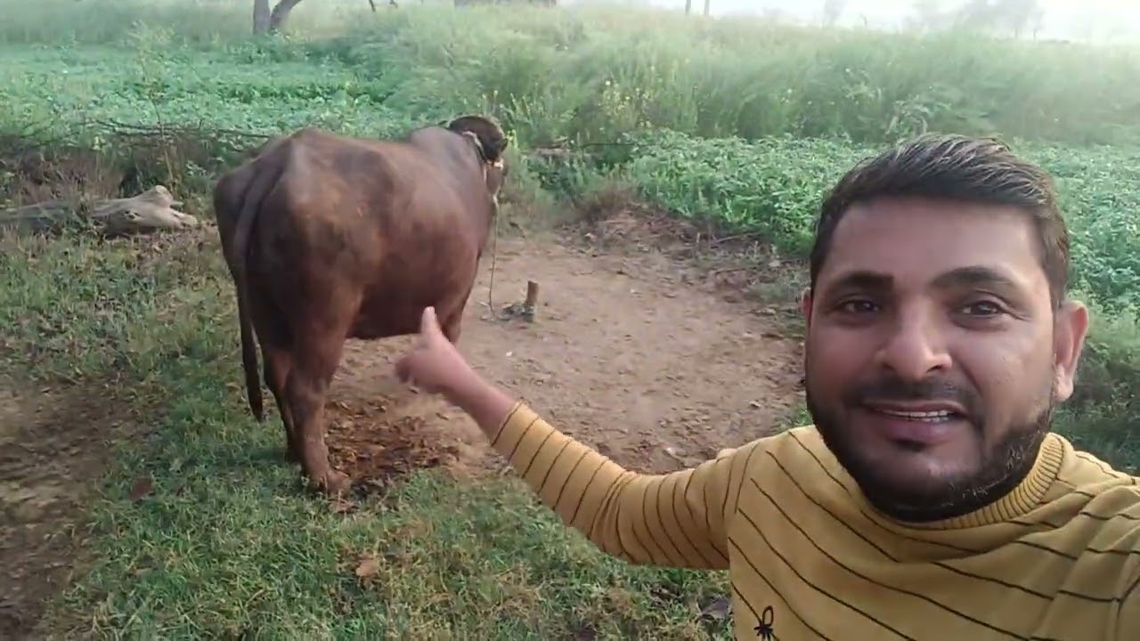 सुबह सुबह पहुंचे फार्म हाउस