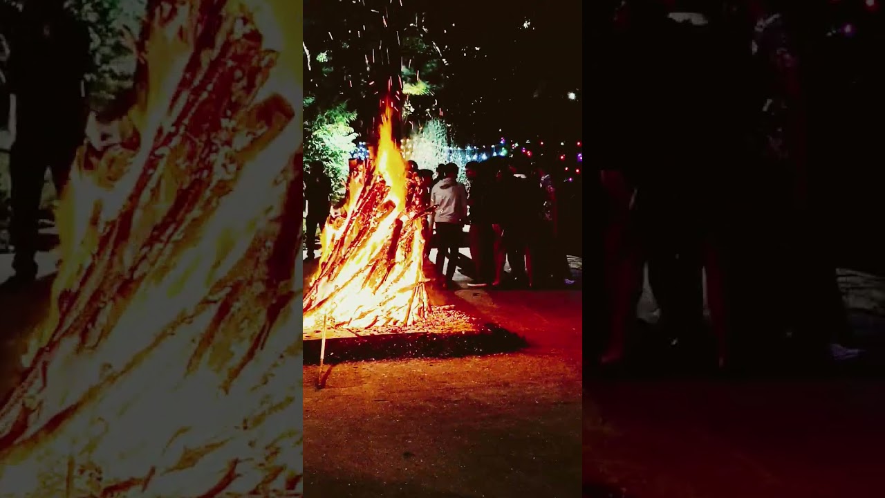 Happy Bhogi South traditional festival 🎎