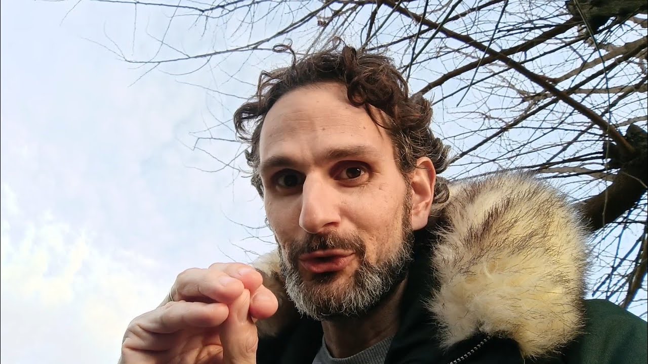 Kako sam izgubio iluzije • Februarska introspekcija