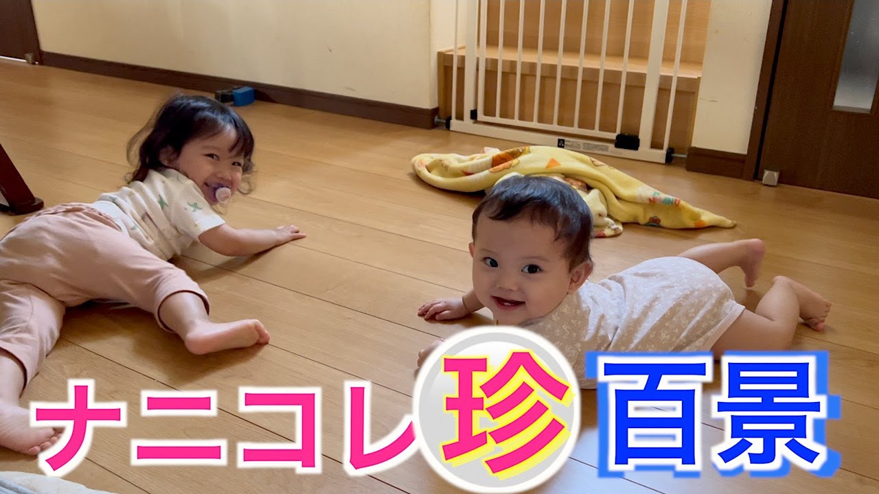 癒しとナニコレ珍百景！？