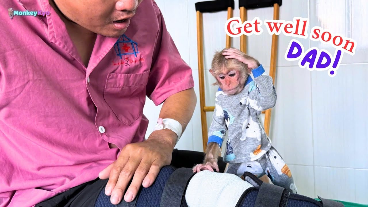 So sweet! Monkey Kyo comes to visit her sick dad!