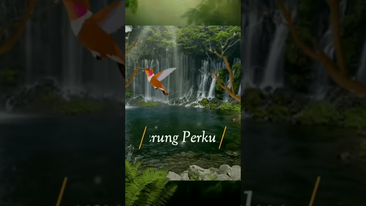 Dalam Primbon Jawa burung perkutut adalah simbol dari keberuntungan
