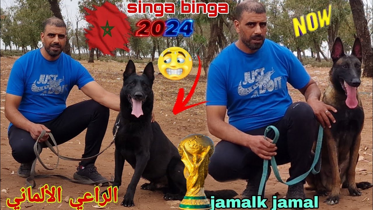 زيارة عند الاسطورة ومولوع عبد القادر حد سولم  مع أحسن انواع الكلاب العمالقة والراعي ألماني اخر ماكين