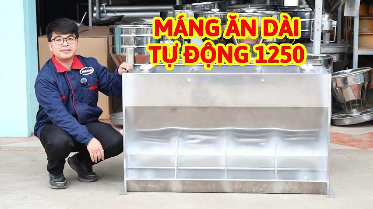 Hòa Ninh: Máng ăn tự động dài 1m25 dành cho heo