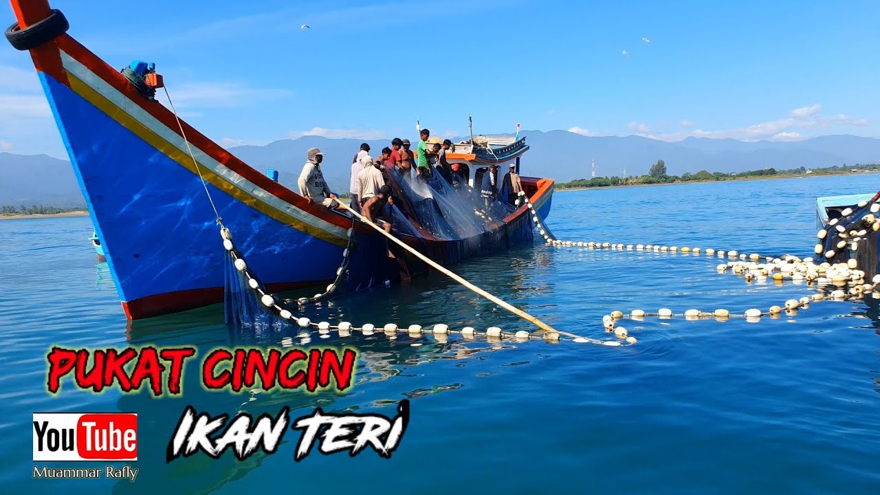 Begini Proses Nelayan Aceh Menangkap Ikan Teri