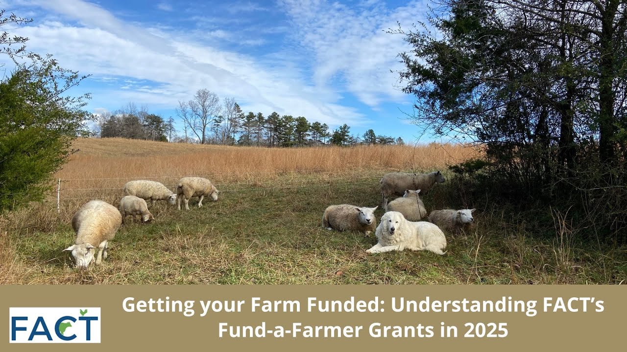 Getting your Farm Funded: Understanding FACT&rsquo;s Fund-a-Farmer Grants in 2025