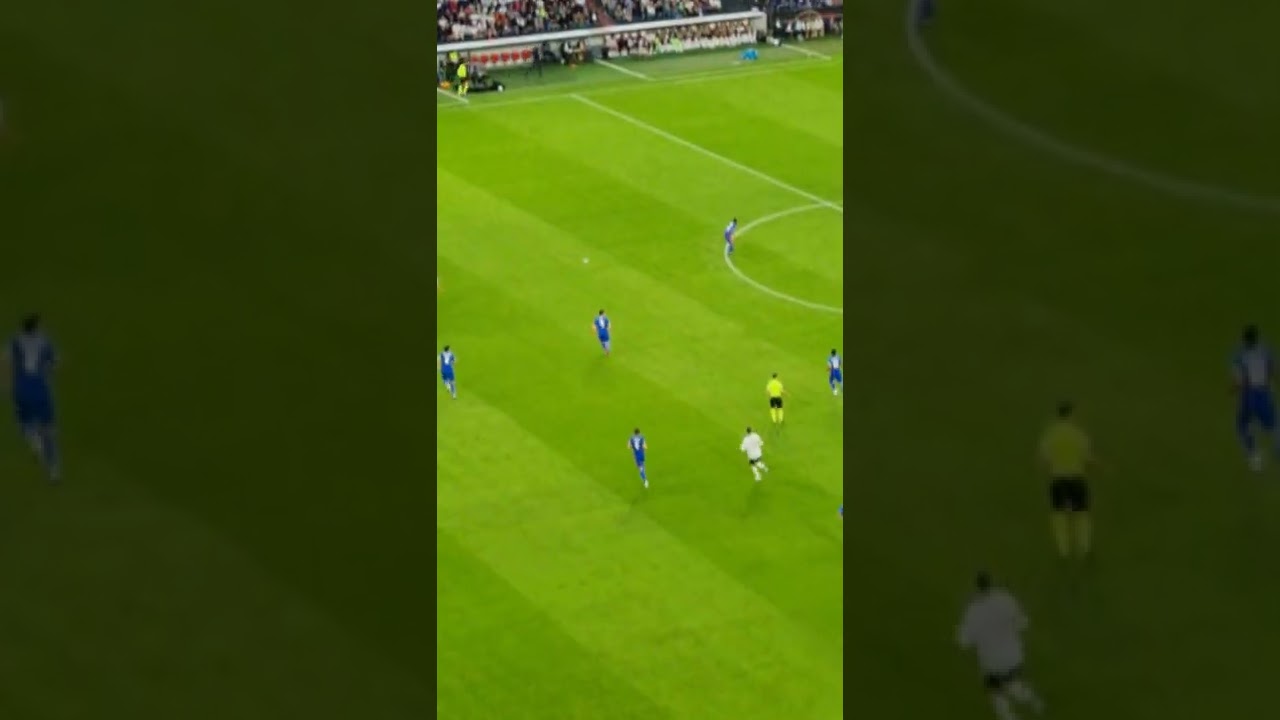 Paper Airplane Takes Flight at Soccer Stadium in Germany || ViralHog