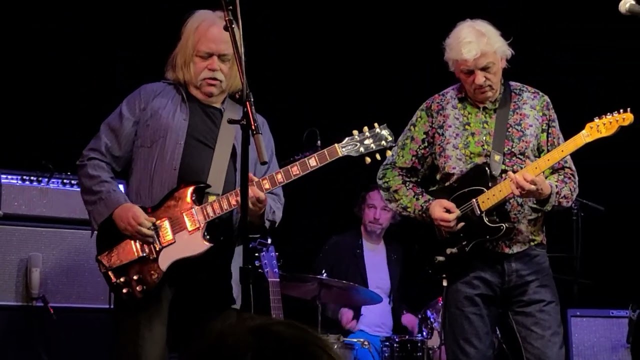 Robyn Hitchcock (with band): 