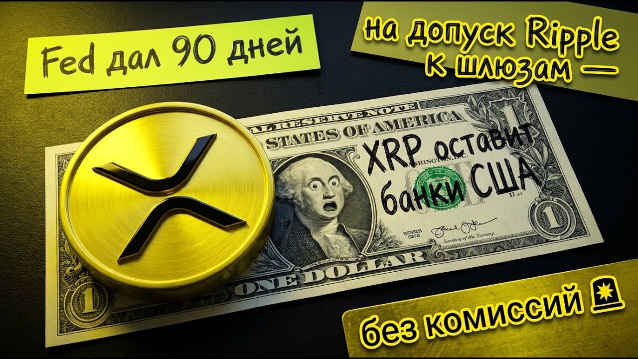🎓 Институционалы раскрывают: обвал XRP на 17% маскирует скупку на $131.94 млн