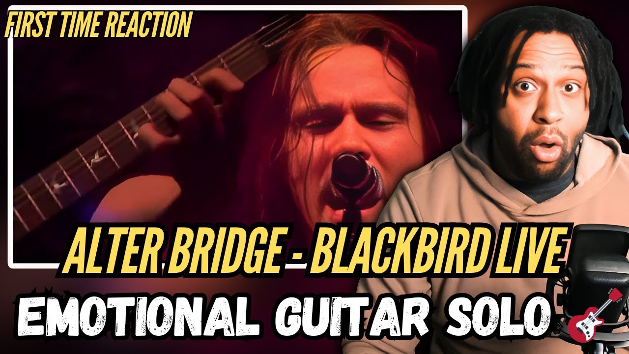🎸 First Time REACTING to Alter Bridge – “Blackbird” LIVE in Amsterdam | Goosebumps!