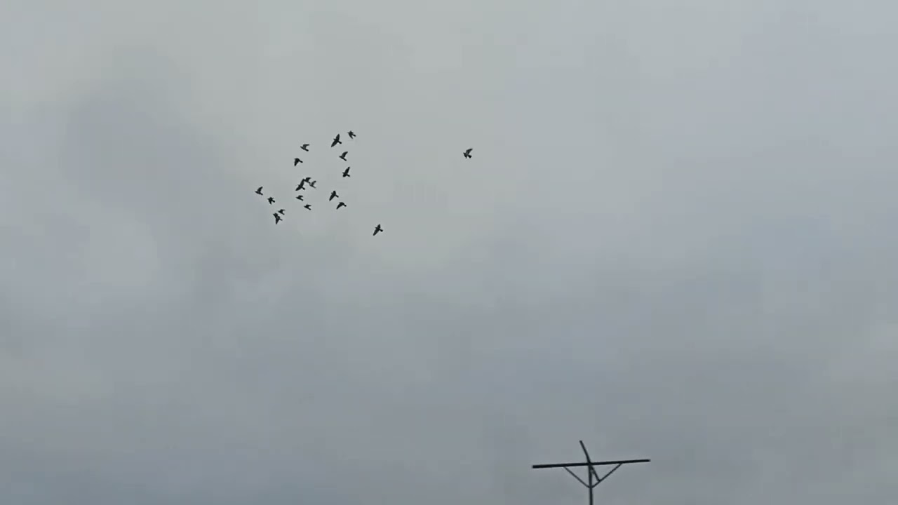Новые типплеры  первые полеты