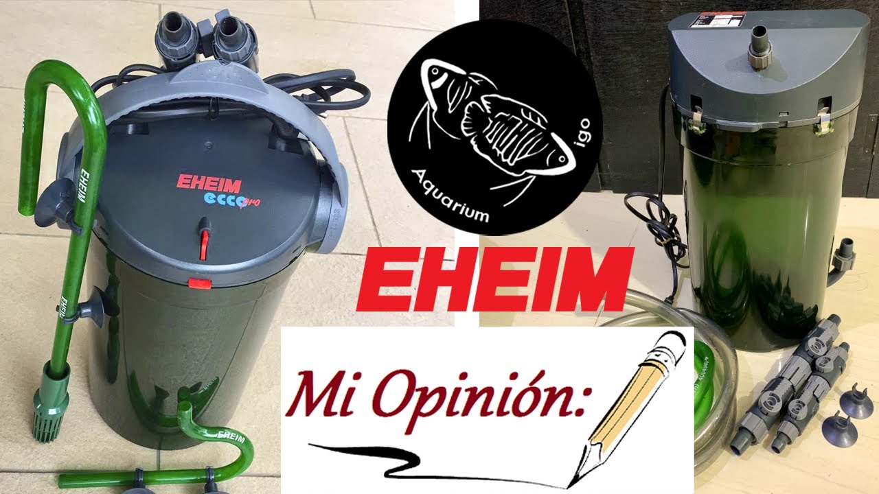 🖋️MI OPINION. EHEIM ECCO PRO 300 | CLASSIC 600 2217. FILTROS CALIDAD PRECIO | FILTRACION AGUA DULCE