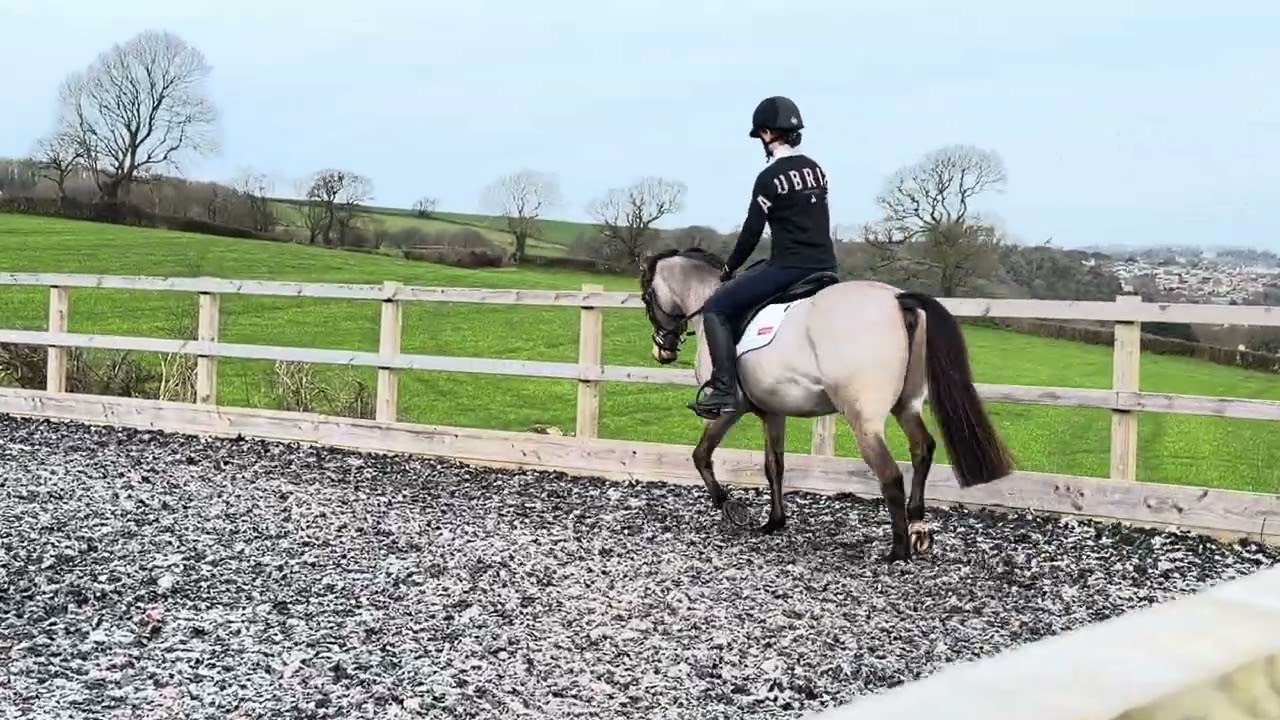 E-Riders Prelim 2B February 2026