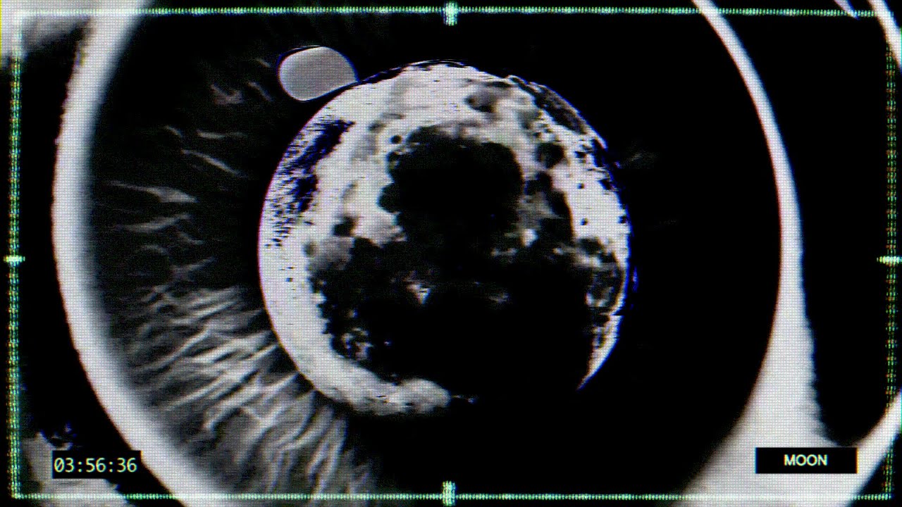 No Label &ndash; MEGA (Official Video)