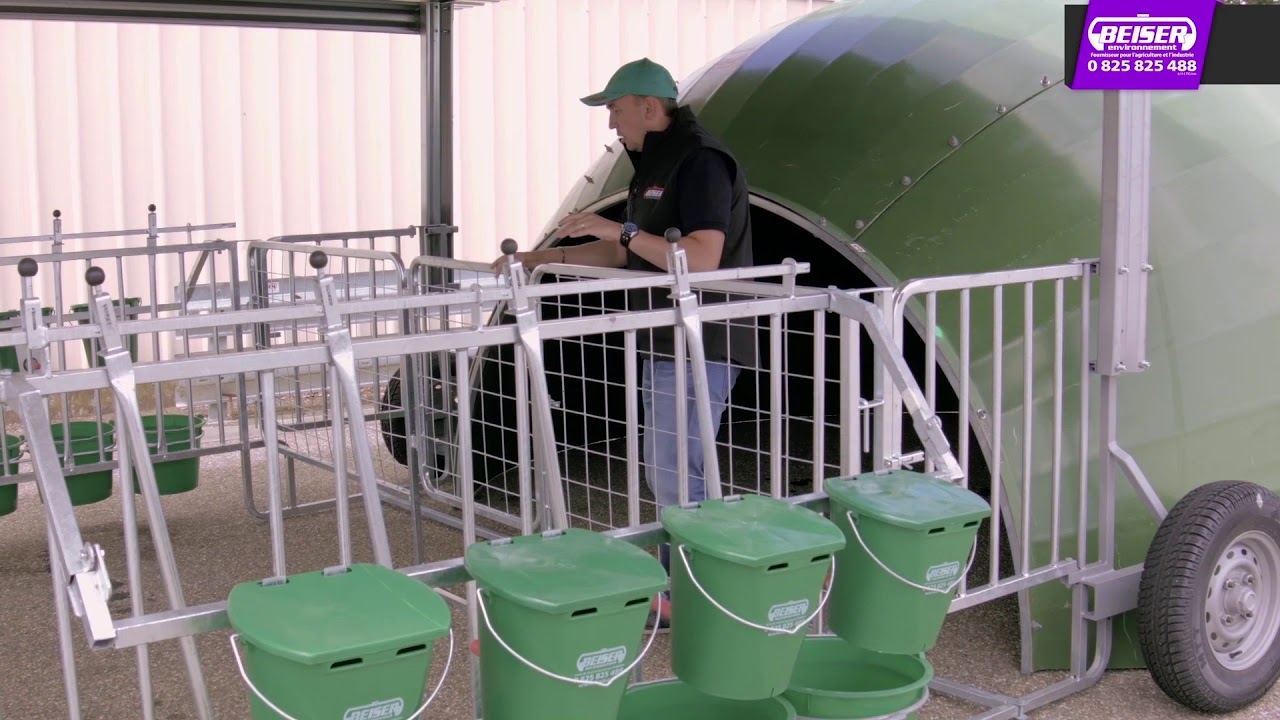 Présentation Niche à Veaux Igloo Isolée (16 places) 🐮 | Beiser Environnement