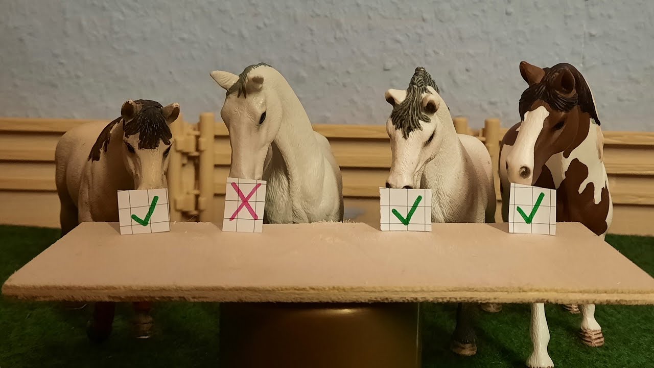 Die Talentshow 🚀 Schleich allein Zuhause