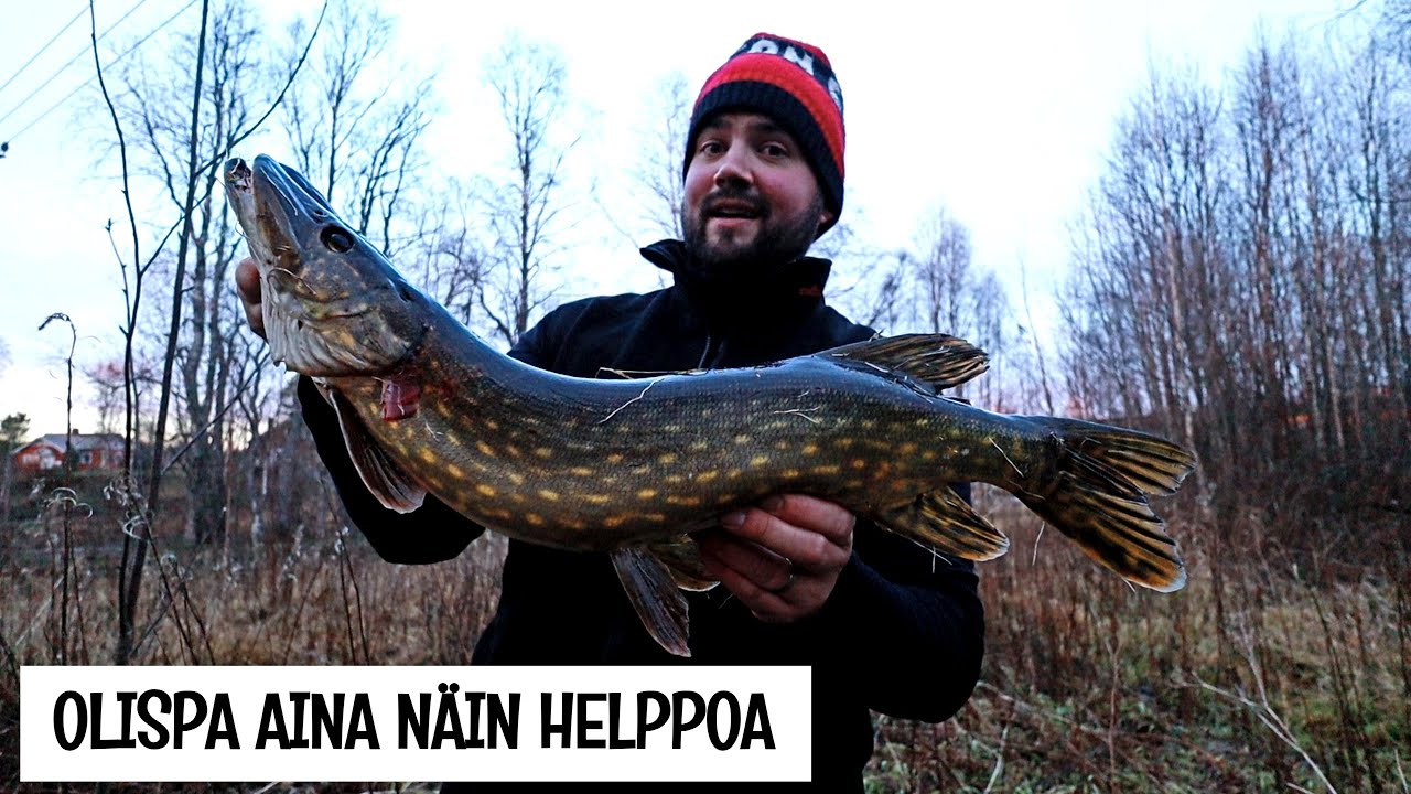 PUOLENTUNNIN KALAREISSU - HAUENKALASTUSTA RANNALTA