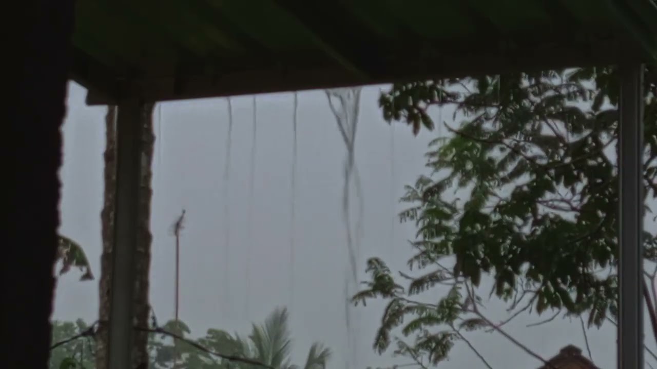 when it rains heavily during the day, the atmosphere becomes warm and suitable for resting