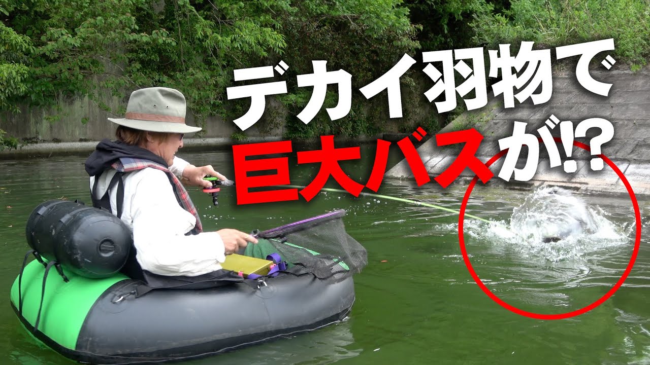 デカイ羽モノで巨大バスが！？