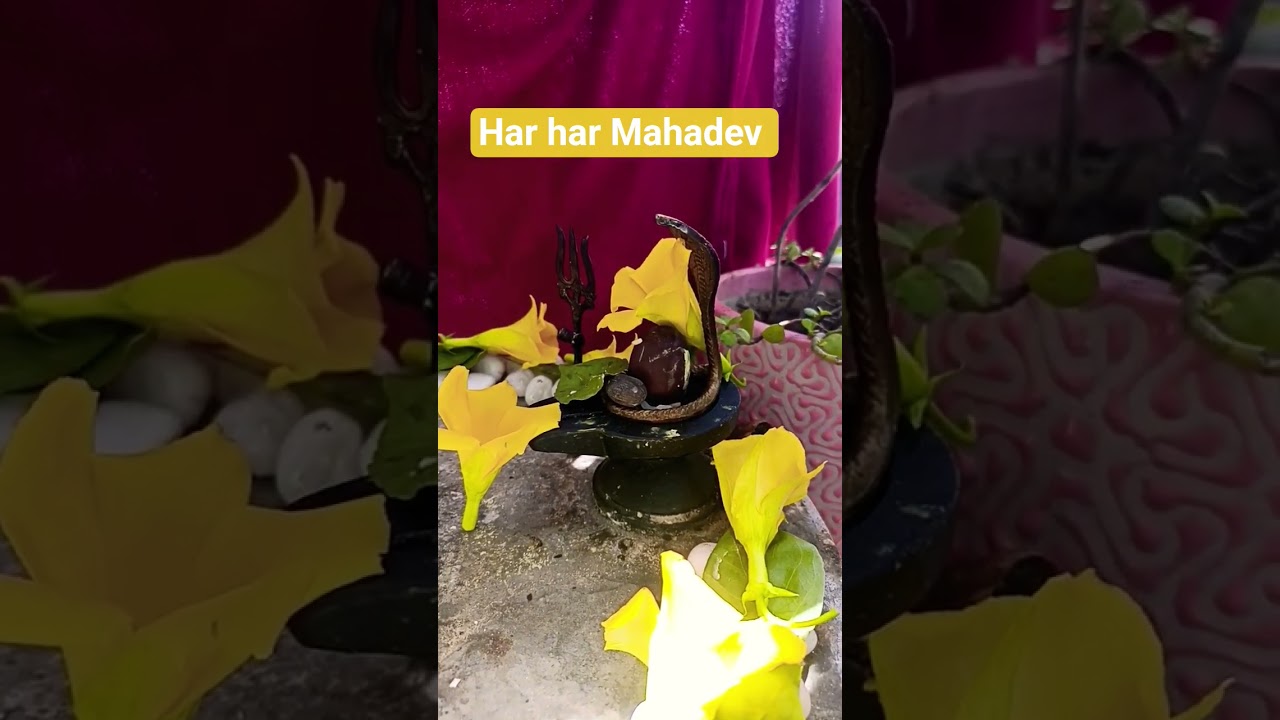 #pardosh k pooja # mahadev ##
