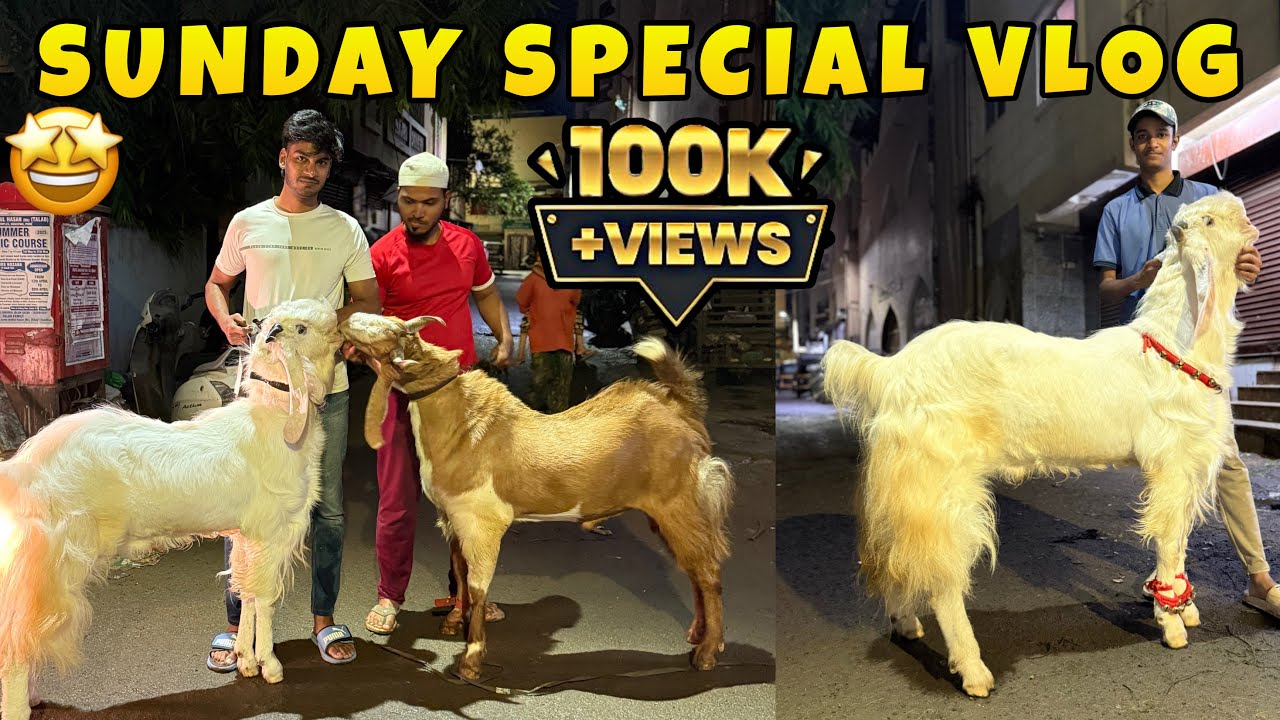 Finally Sunday Special Vlog Aagaya With Sartaj || MD ANAs VLOGs