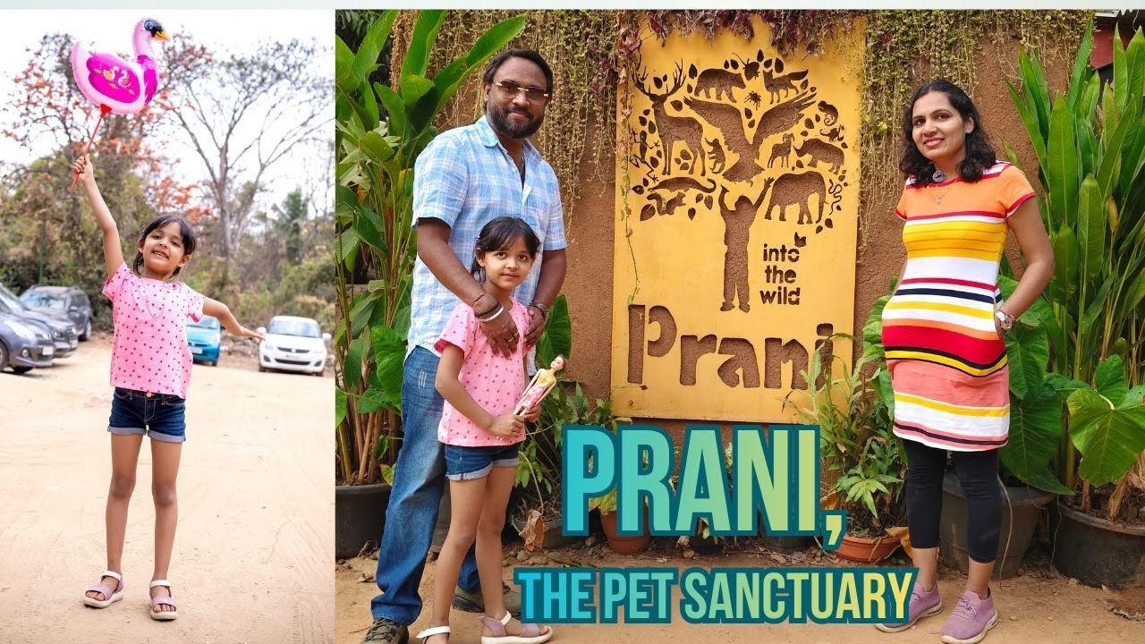 Prani Pet Sanctuary Bangalore | A Beautiful Family Experience 🐢🦜