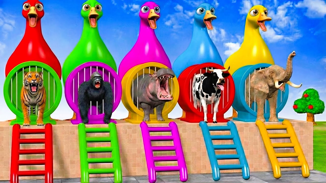 Long Slide Game with Cow Elephant Gorilla Hippopotamus Tiger 3d Animal Game Funny 3d Animals