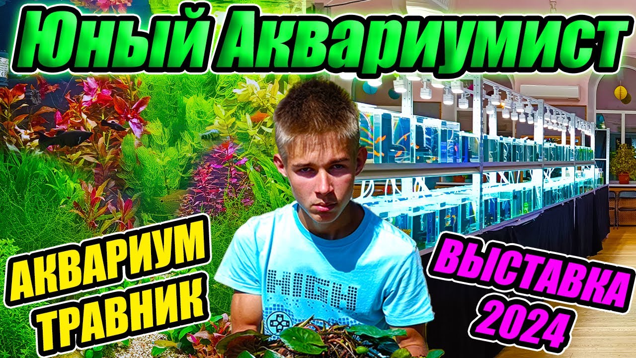 Выставка аквариумных рыбок 2024. Аквариум травник Юного Аквариумиста