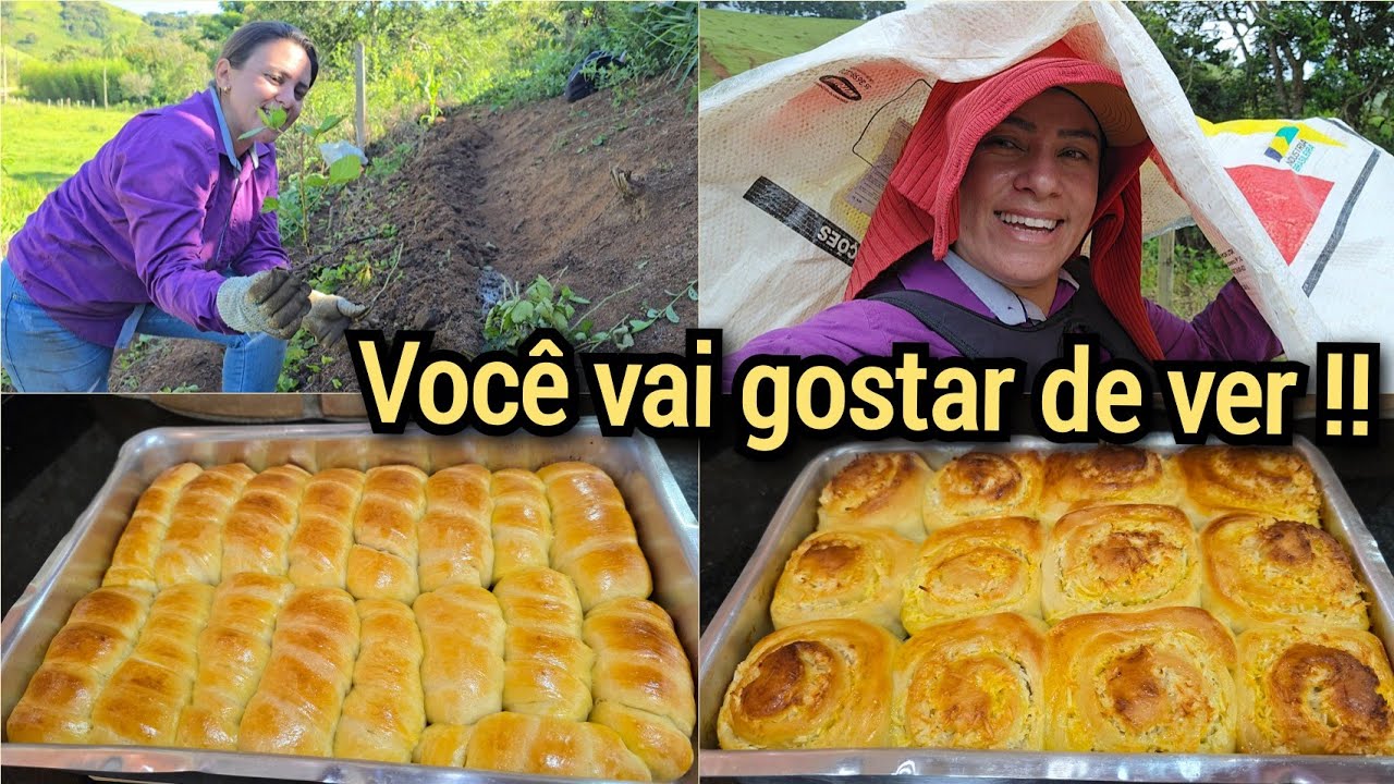 A VIDA NA ROÇA!!PLANTEI FRAMBOESA+PÃO CASEIRO ENROLADINHO DE QUEIJO+FATIAS HÚNGARAS/OLHA CHUUUVA😂